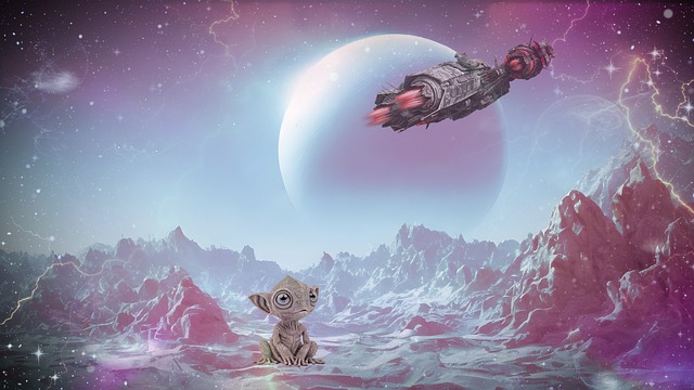 变量1词条四变量2词条五变量3词条三三三 p1