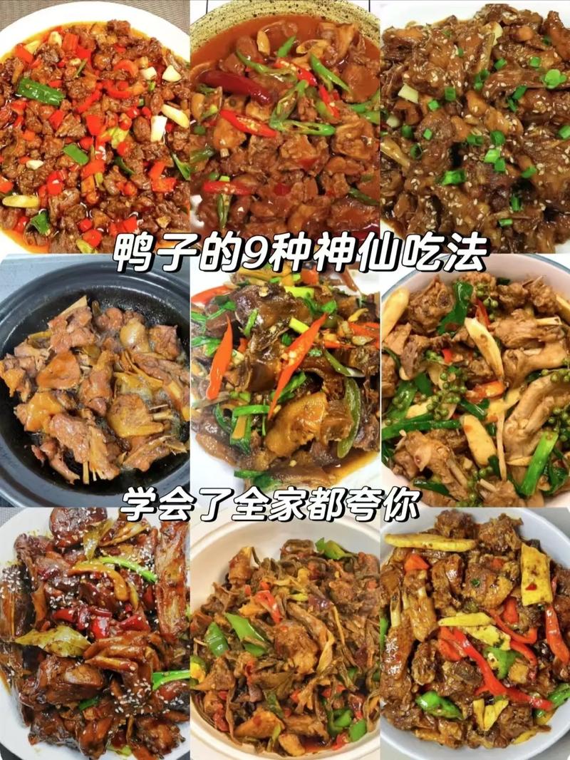鸭子的做法(鸭子的做法有哪几种)