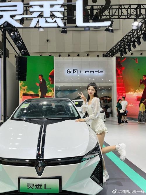 第一车展（第一届车展）