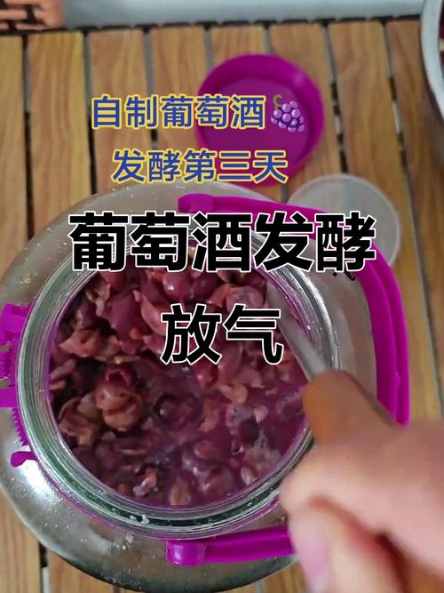 葡萄酒的做法视频(如何做葡萄酒步骤视频)