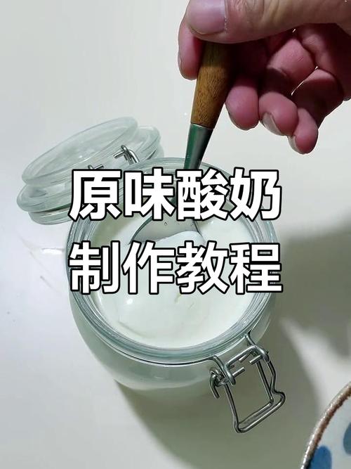 老酸奶的做法(老酸奶的做法自制)