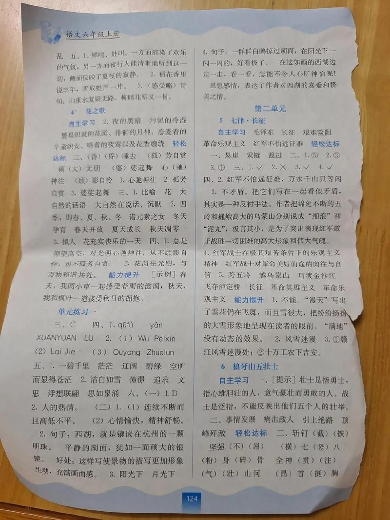 苏教版六年级上册语文补充习题答案（六年级上册语文补充答案人教版答案苏教版）