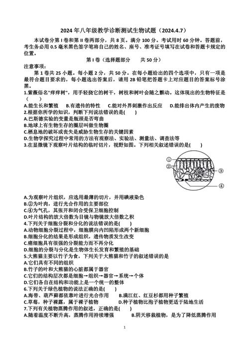 山东会考答案(山东会考卷)