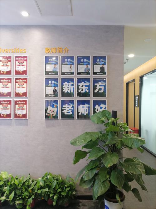 新东方英语培训(新东方英语培训机构怎么样)