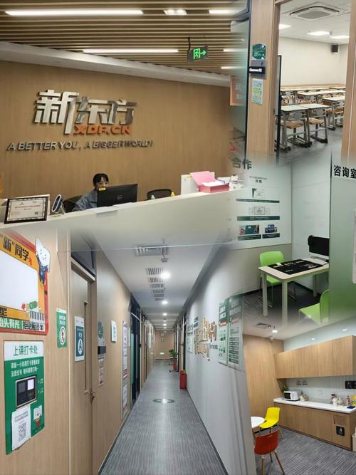 上海新东方英语官网(上海新东方语言学校)