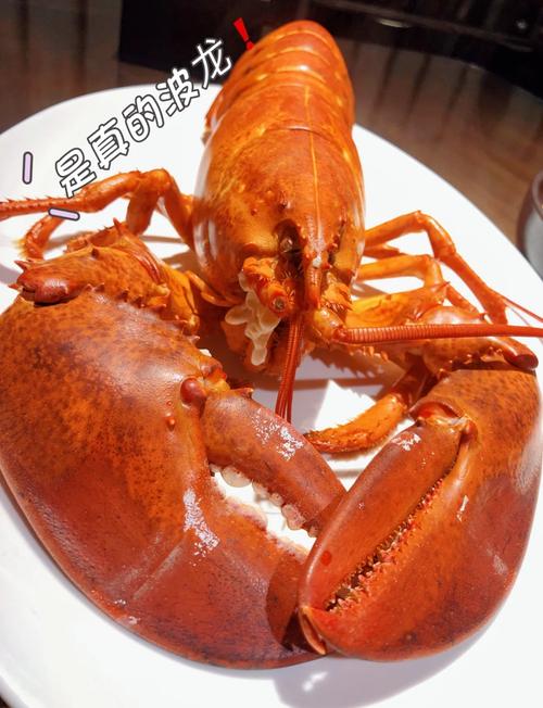 波士顿龙虾做法(波士顿龙虾做法家常)