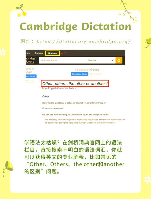 快乐英语网(快乐英语网站)