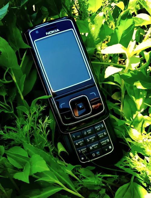 诺基亚智能手机论坛(诺基亚手机论坛之家)