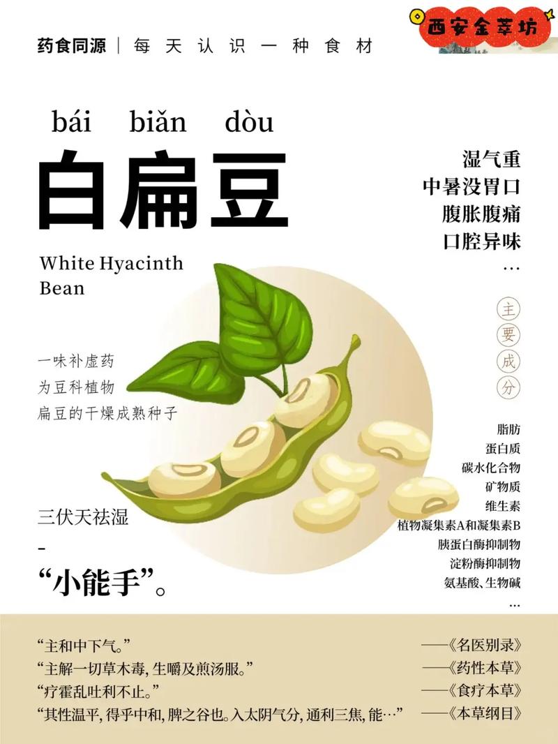 白扁豆的做法（白扁豆的做法最简单）