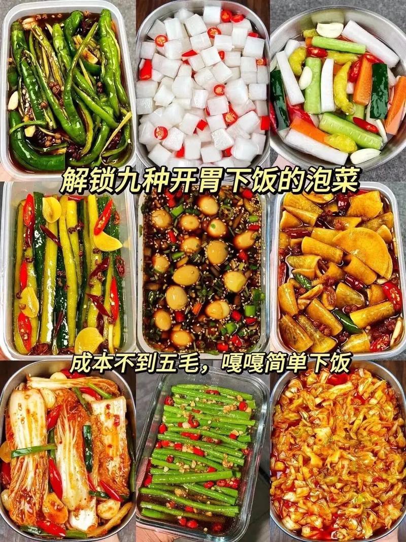 泡菜的做法(泡菜的做法大全家常)