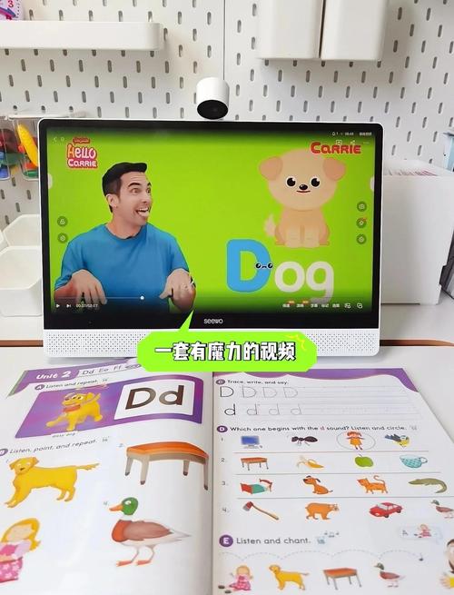 英语学习视频网站(学英语的视频网站)