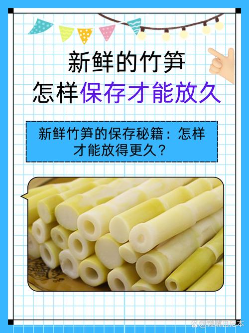 新鲜竹笋的做法(新鲜竹笋的做法大全)