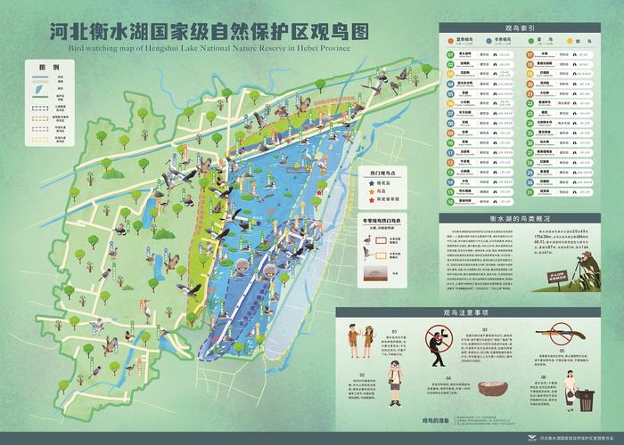 衡水湖地图(衡水湖地图俯瞰图)