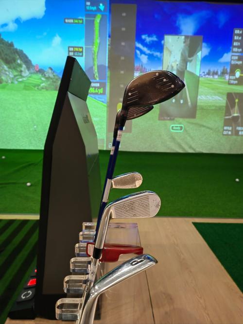 汽车价格网(室内高尔夫设备多少钱一套)