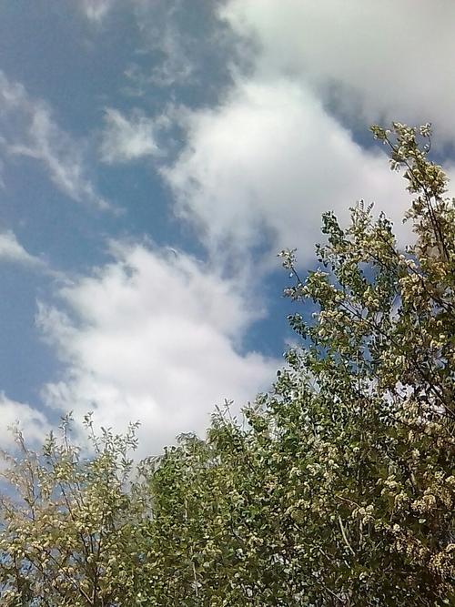 葫芦岛绥中天气(葫芦岛绥中天气云端)