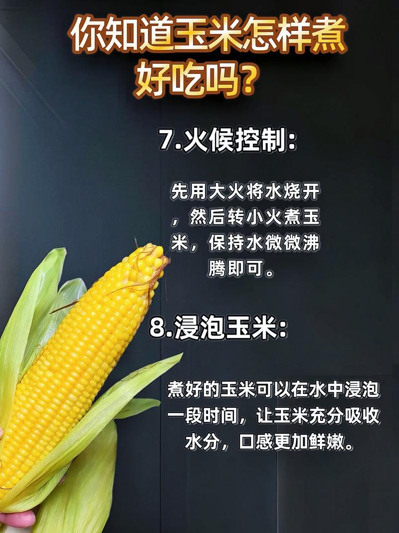 玉米的做法(玉米的做法有哪些)