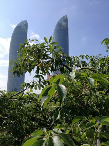 厦门天气(厦门天气思明区)