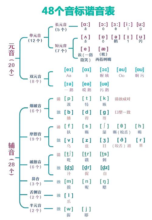 英语辅音音标发音(英语辅音音标发音口型)