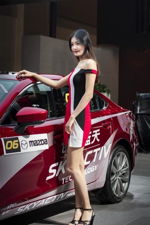 西博车展（西博车展门票免费吗）