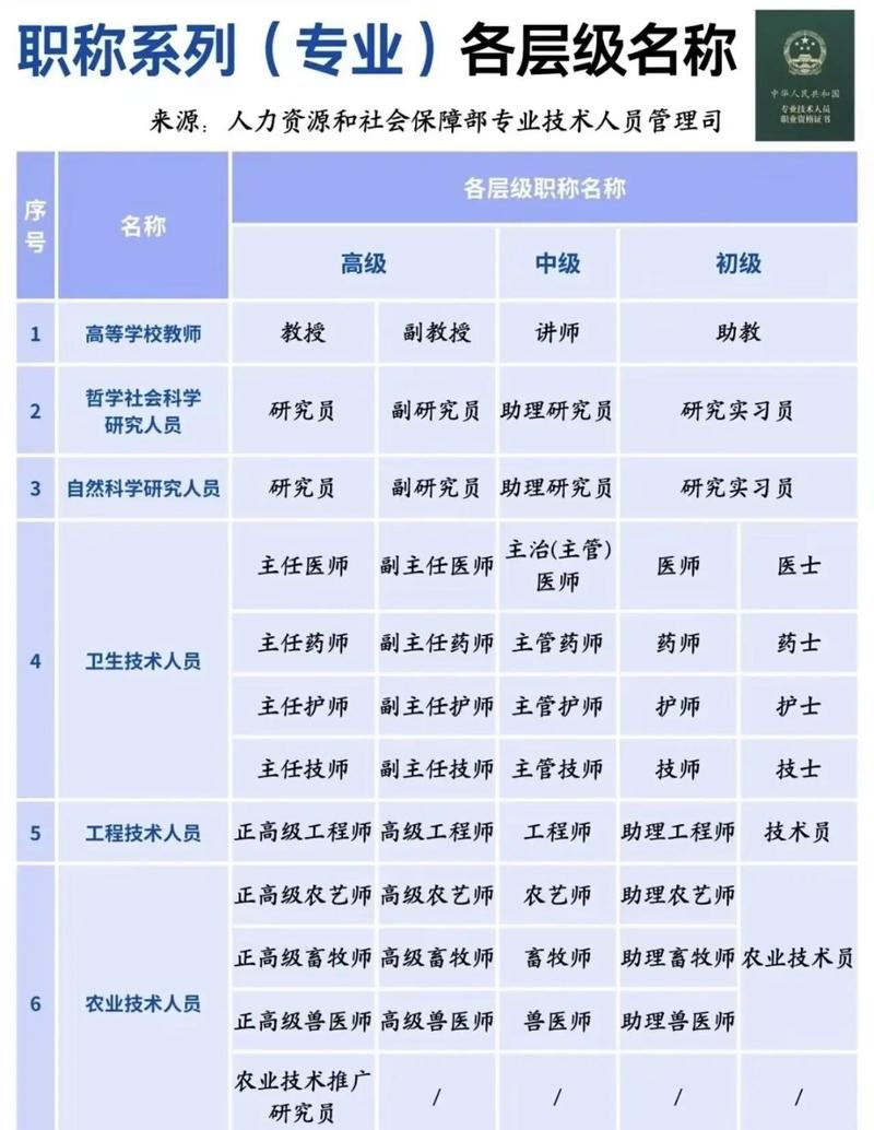 2024年国考岗位职位表查询(2024年国考岗位职位表查询官网)