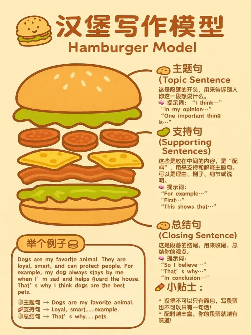 汉堡包的英语单词（汉堡包的英语单词是几年级学的）