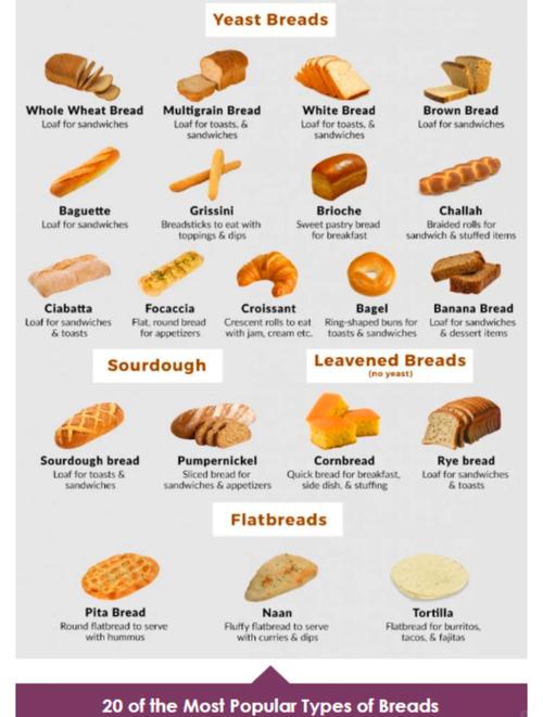 汉堡包的英语单词（汉堡包的英语单词是几年级学的）