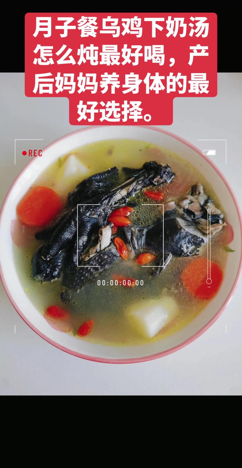 乌鸡的做法(土豆炖乌鸡的做法)