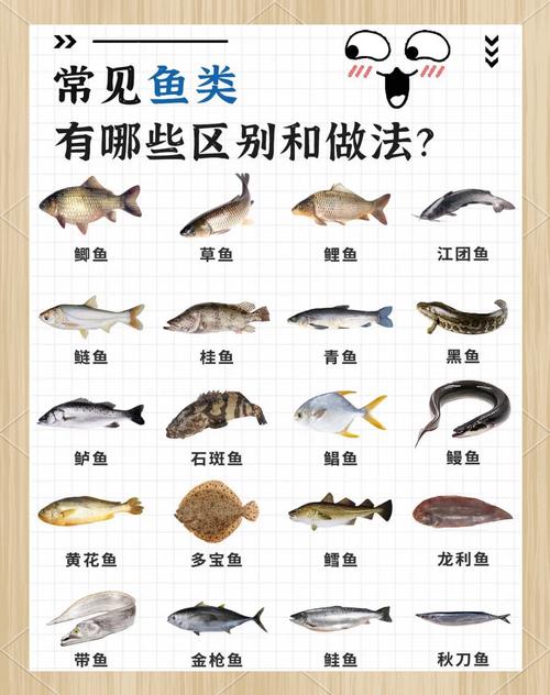 淡水鱼的做法(淡水鱼的做法大全)